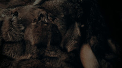 extant_GameOfThrones_1x02-TheKingsroad_5701
