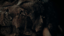 extant_GameOfThrones_1x02-TheKingsroad_5702