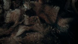 extant_GameOfThrones_1x02-TheKingsroad_5708