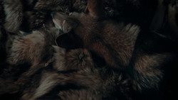 extant_GameOfThrones_1x02-TheKingsroad_5709
