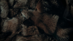 extant_GameOfThrones_1x02-TheKingsroad_5710