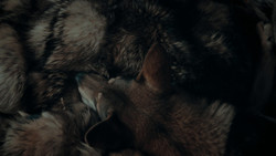 extant_GameOfThrones_1x02-TheKingsroad_5712
