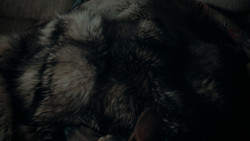extant_GameOfThrones_1x02-TheKingsroad_5715