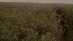 extant_GameOfThrones_1x03-LordSnow_2786