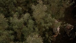 extant_GameOfThrones_1x03-LordSnow_2893