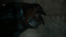 extant_GameOfThrones_1x04-CripplesBastardsAndBrokenThings_0082