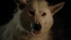 extant_GameOfThrones_1x04-CripplesBastardsAndBrokenThings_3724