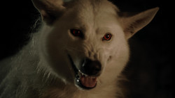 extant_GameOfThrones_1x04-CripplesBastardsAndBrokenThings_3725