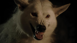 extant_GameOfThrones_1x04-CripplesBastardsAndBrokenThings_3726