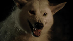 extant_GameOfThrones_1x04-CripplesBastardsAndBrokenThings_3727