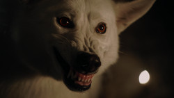 extant_GameOfThrones_1x04-CripplesBastardsAndBrokenThings_3734