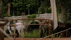 extant_GameOfThrones_1x05-TheWolfAndTheLion_0018