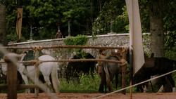 extant_GameOfThrones_1x05-TheWolfAndTheLion_0019