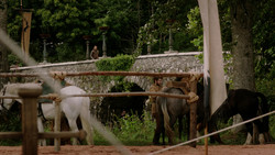 extant_GameOfThrones_1x05-TheWolfAndTheLion_0020
