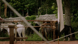 extant_GameOfThrones_1x05-TheWolfAndTheLion_0021