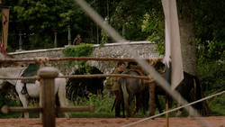 extant_GameOfThrones_1x05-TheWolfAndTheLion_0023