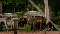 extant_GameOfThrones_1x05-TheWolfAndTheLion_0024