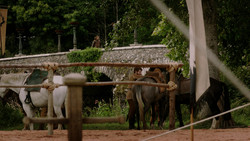 extant_GameOfThrones_1x05-TheWolfAndTheLion_0025