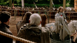 extant_GameOfThrones_1x05-TheWolfAndTheLion_0534