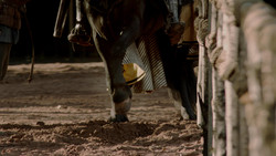 extant_GameOfThrones_1x05-TheWolfAndTheLion_0652