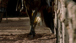 extant_GameOfThrones_1x05-TheWolfAndTheLion_0653