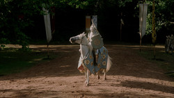 extant_GameOfThrones_1x05-TheWolfAndTheLion_0725