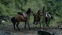 extant_GameOfThrones_1x05-TheWolfAndTheLion_1154