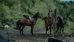 extant_GameOfThrones_1x05-TheWolfAndTheLion_1155