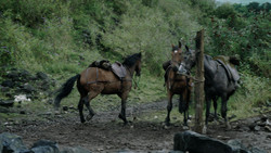 extant_GameOfThrones_1x05-TheWolfAndTheLion_1156