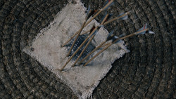 extant_GameOfThrones_1x05-TheWolfAndTheLion_1569