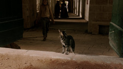 extant_GameOfThrones_1x05-TheWolfAndTheLion_1766