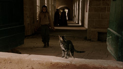 extant_GameOfThrones_1x05-TheWolfAndTheLion_1767