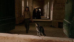 extant_GameOfThrones_1x05-TheWolfAndTheLion_1768