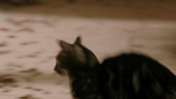 extant_GameOfThrones_1x05-TheWolfAndTheLion_1780