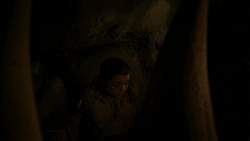 extant_GameOfThrones_1x05-TheWolfAndTheLion_2135