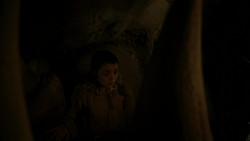 extant_GameOfThrones_1x05-TheWolfAndTheLion_2136