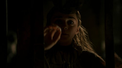 extant_GameOfThrones_1x05-TheWolfAndTheLion_2218