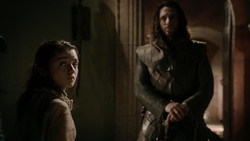 extant_GameOfThrones_1x05-TheWolfAndTheLion_2916