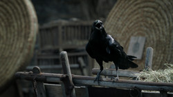 extant_GameOfThrones_1x06-AGoldenCrown_0653