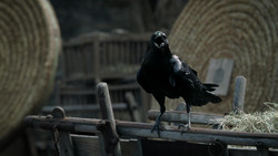 extant_GameOfThrones_1x06-AGoldenCrown_0655