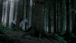 extant_GameOfThrones_1x06-AGoldenCrown_0854