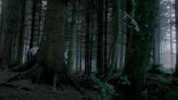 extant_GameOfThrones_1x06-AGoldenCrown_0857