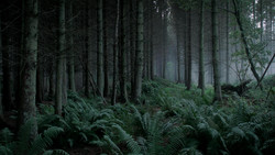 extant_GameOfThrones_1x06-AGoldenCrown_0882