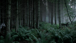 extant_GameOfThrones_1x06-AGoldenCrown_0883