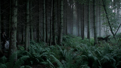 extant_GameOfThrones_1x06-AGoldenCrown_0884