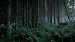 extant_GameOfThrones_1x06-AGoldenCrown_0885