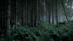 extant_GameOfThrones_1x06-AGoldenCrown_0886
