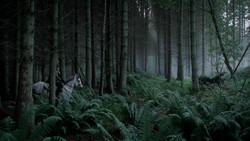 extant_GameOfThrones_1x06-AGoldenCrown_0887