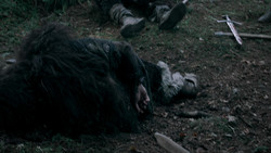 extant_GameOfThrones_1x06-AGoldenCrown_1160
