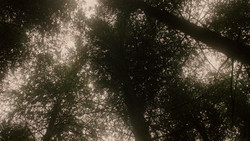 extant_GameOfThrones_1x06-AGoldenCrown_3077